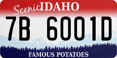 ID license plate 7B6001D