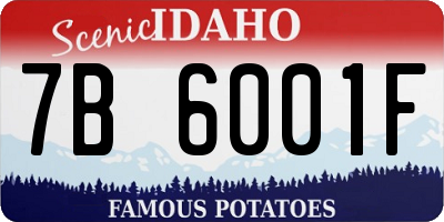 ID license plate 7B6001F