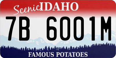 ID license plate 7B6001M
