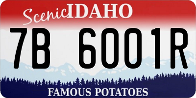 ID license plate 7B6001R