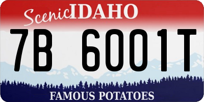 ID license plate 7B6001T