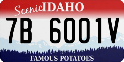 ID license plate 7B6001V