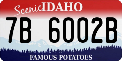 ID license plate 7B6002B