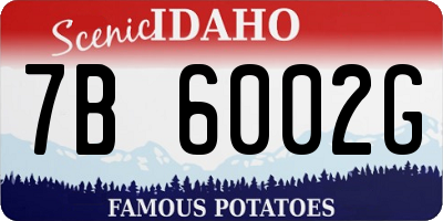 ID license plate 7B6002G