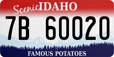 ID license plate 7B6002O