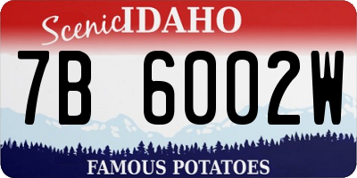 ID license plate 7B6002W