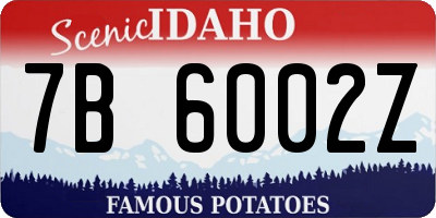 ID license plate 7B6002Z