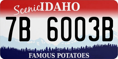 ID license plate 7B6003B