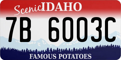 ID license plate 7B6003C