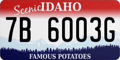 ID license plate 7B6003G
