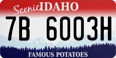 ID license plate 7B6003H