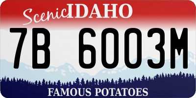 ID license plate 7B6003M