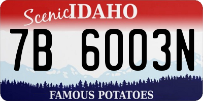 ID license plate 7B6003N