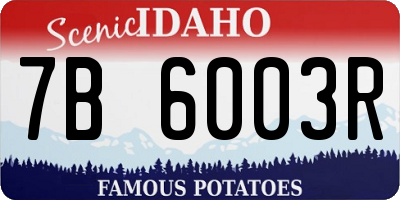 ID license plate 7B6003R