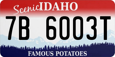 ID license plate 7B6003T