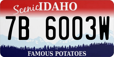 ID license plate 7B6003W