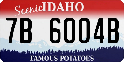 ID license plate 7B6004B