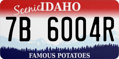 ID license plate 7B6004R