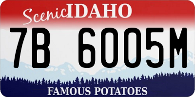 ID license plate 7B6005M