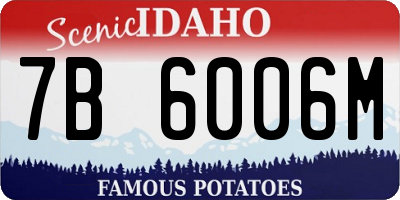 ID license plate 7B6006M