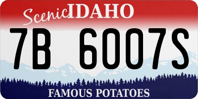 ID license plate 7B6007S
