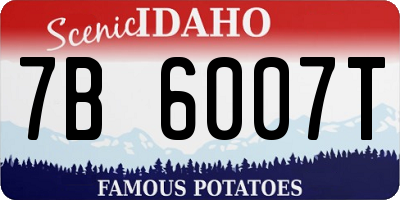ID license plate 7B6007T