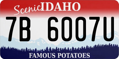 ID license plate 7B6007U