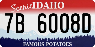 ID license plate 7B6008D