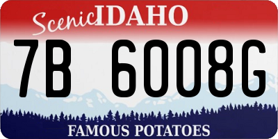 ID license plate 7B6008G