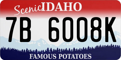 ID license plate 7B6008K