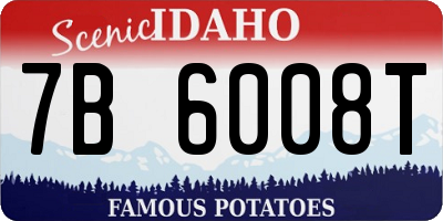 ID license plate 7B6008T