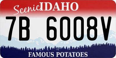 ID license plate 7B6008V