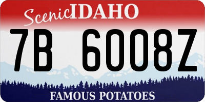 ID license plate 7B6008Z