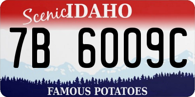 ID license plate 7B6009C