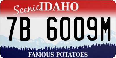 ID license plate 7B6009M