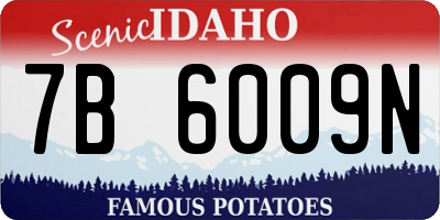 ID license plate 7B6009N