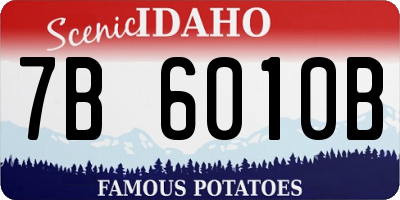 ID license plate 7B6010B