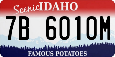ID license plate 7B6010M