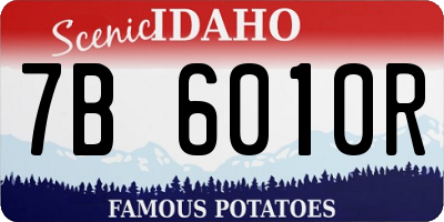 ID license plate 7B6010R