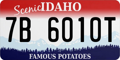 ID license plate 7B6010T