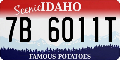 ID license plate 7B6011T