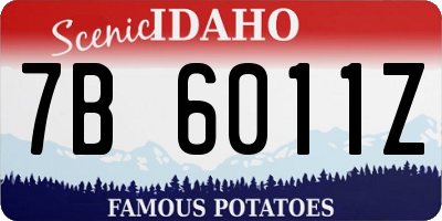 ID license plate 7B6011Z