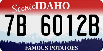 ID license plate 7B6012B