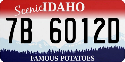 ID license plate 7B6012D