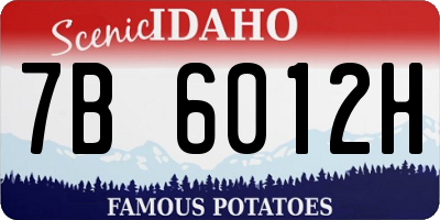 ID license plate 7B6012H