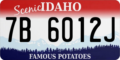 ID license plate 7B6012J