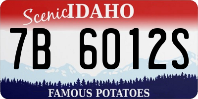 ID license plate 7B6012S