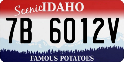 ID license plate 7B6012V