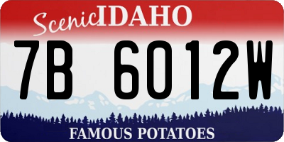 ID license plate 7B6012W