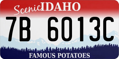 ID license plate 7B6013C